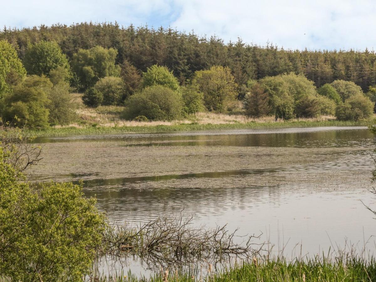 Bwlch Y Gwynt Bach Βίλα Llangefni Εξωτερικό φωτογραφία