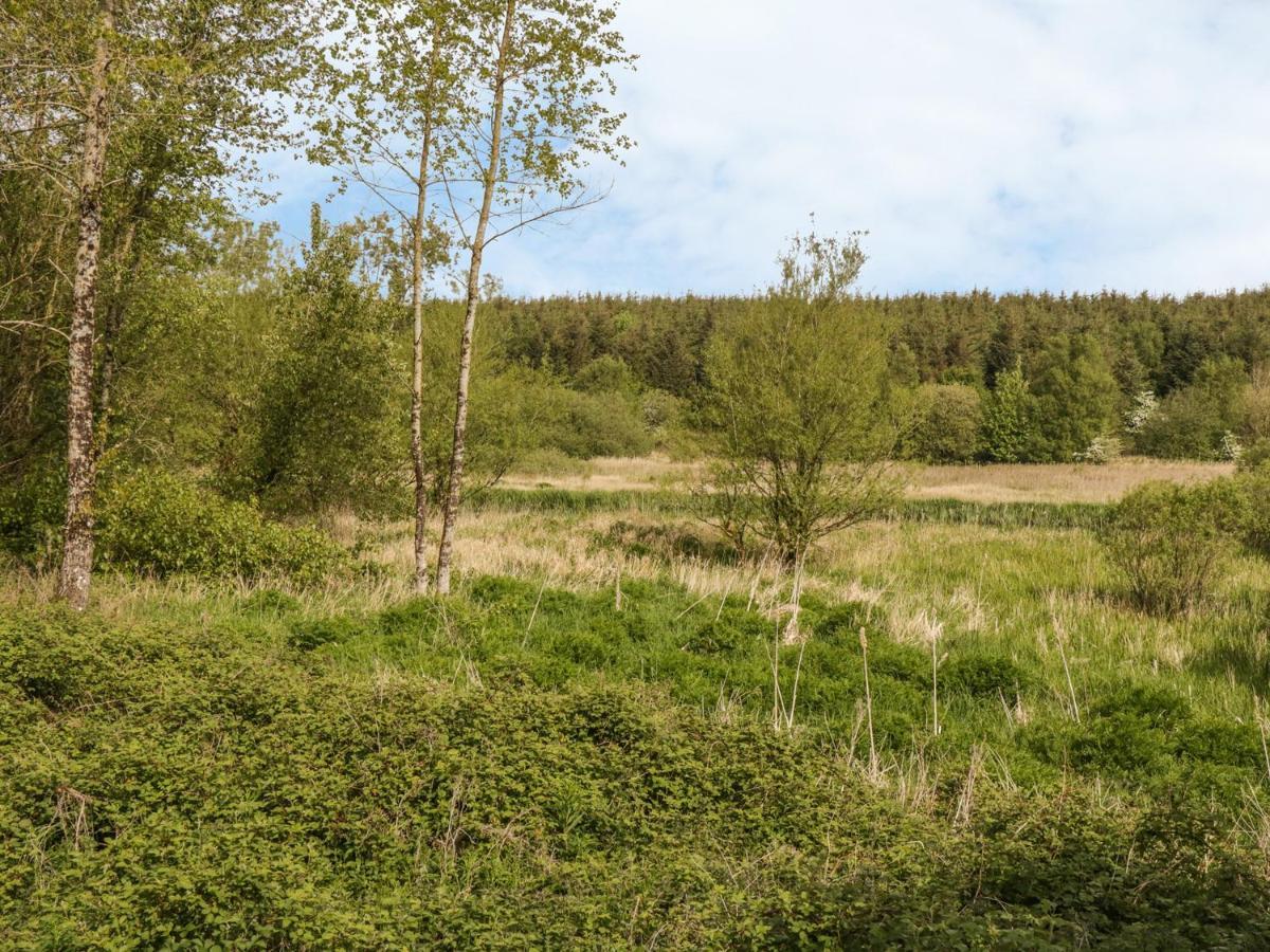 Bwlch Y Gwynt Bach Βίλα Llangefni Εξωτερικό φωτογραφία